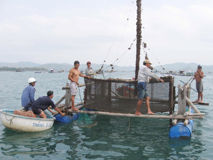 Aquaculture activities generate a lot of waste. Photo: AN.