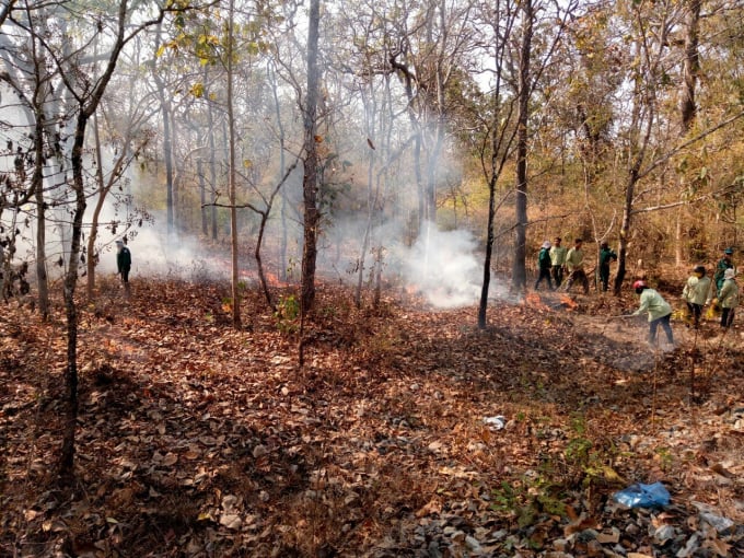 Mùa khô năm 2020 - 2021, số vụ cháy rừng ở Bình Thuận giảm rõ rệt. Ảnh: KS.