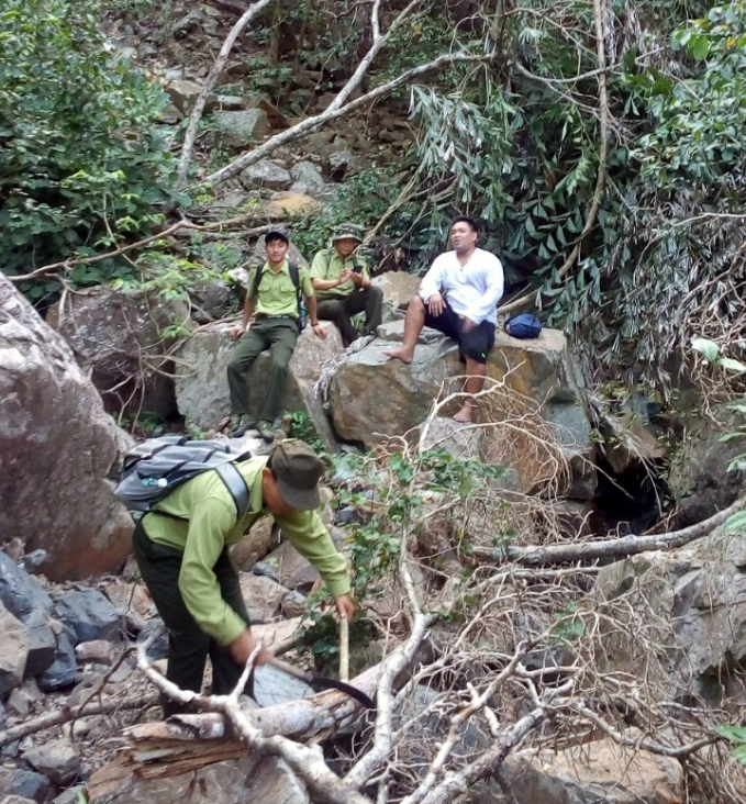 Những ngày này, lực lượng Kiểm lâm và chủ rừng ở tỉnh Khánh Hòa đang nỗ lực tuần tra rừng. Ảnh: KS.
