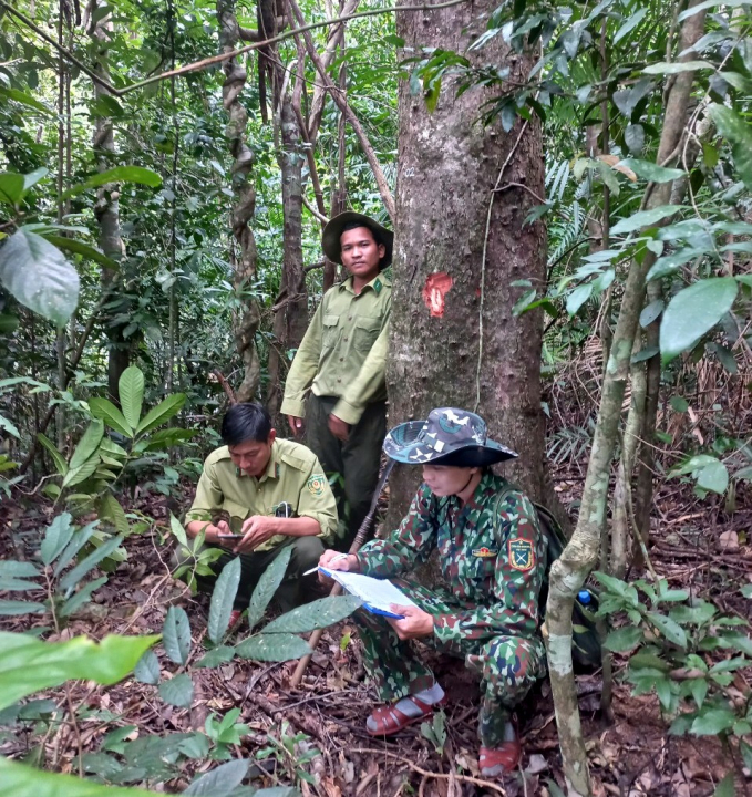 Lực lượng Ban quản lý Khu bảo tồn thiên nhiên Hòn Bà đang nỗ lực tuần tra, giữ rừng. Ảnh: BC.