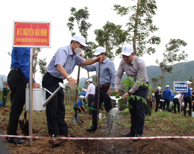 Bí Thư Tỉnh ủy Khánh Hòa Nguyễn Hải Ninh đang tưới nước cho cây vừa được trồng xong. Ảnh: BL.