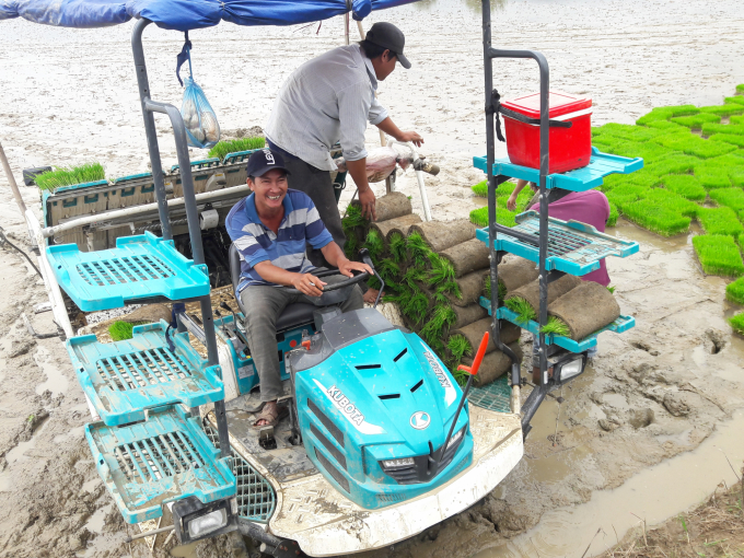Ngành nông nghiệp Bình Thuận hướng dẫn nông dân sản xuất lúa theo hướng SRI, kết hợp với cơ giới hóa bằng mạ khay - máy cấy. Ảnh: AB.