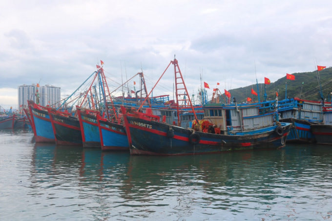 Nhiều tàu neo đậu ở trước mặt cảng cá Hòn Rớ. Ảnh: Minh Hậu.
