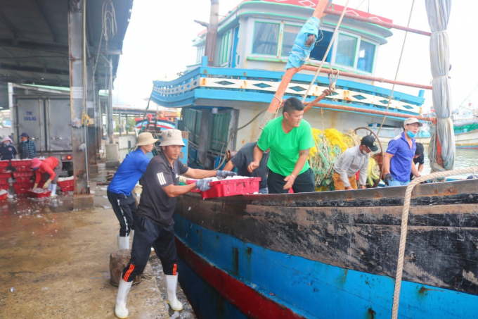 Ngư dân cho biết, việc giá dầu tăng đã đẩy chi phí chuyến biển tăng cao, nguy cơ thua lỗ. Ảnh: Minh Hậu.