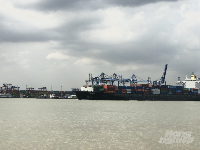 Xuất khẩu hàng hóa qua cảng ở khu vực TP.HCM. Ảnh: Minh Sáng.