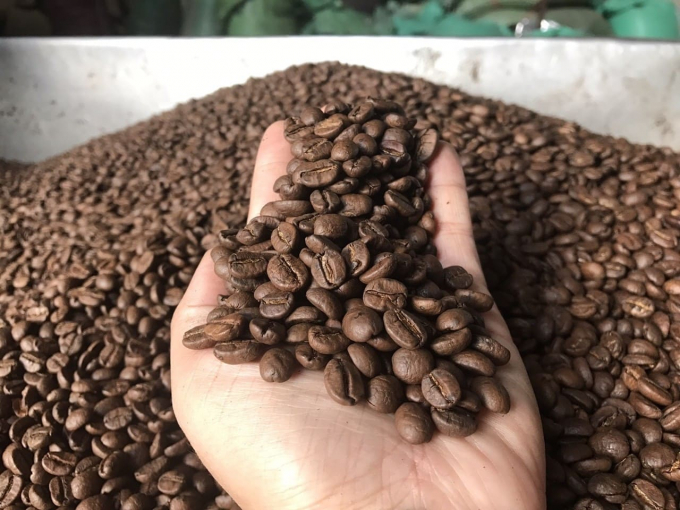 Giá nông sản hôm nay tại mặt hàng cà phê đang giảm 200 đồng/kg tại Tây Nguyên. Ảnh: Hot Air Coffee.