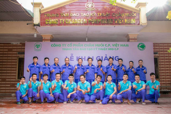 Một lớp đào tạo kỹ thuật heo nái tại Trung tâm Đào tạo Kỹ thuật heo của C.P Việt Nam. Ảnh: C.P Việt Nam.