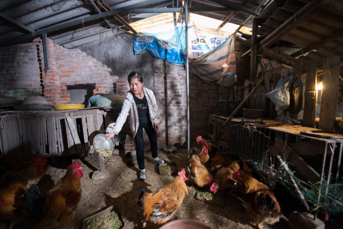 Chị Dương Thị Châm, một trong những nữ nông dân ở Hưng Yên được hỗ trợ bởi 'Tiếp Sức Nhà Nông'. Ảnh: GREENFEED.