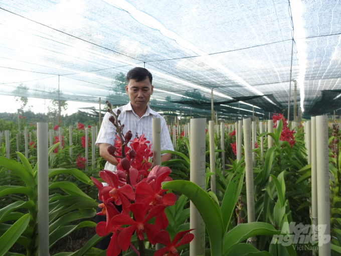 Nông nghiệp TP HCM tiếp tục chuyển dịch theo hướng nông nghiệp đo thị. Ảnh: Sơn Trang.