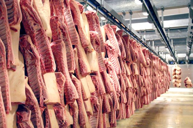 Thịt lợn nhập khẩu vào Việt Nam đạt hơn 140 ngàn tấn năm 2020. Ảnh: TL.