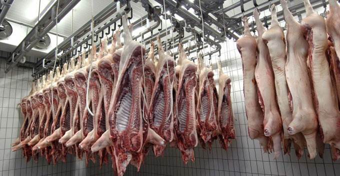Hơn 1 nửa lượng thịt lợn xuất khẩu từ EU là sang Trung Quốc. Ảnh: TL.