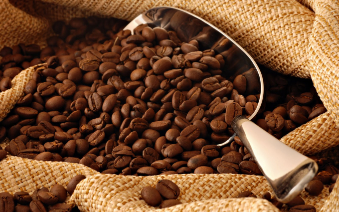 Nhiều dự báo cho rằng sẽ thiếu hụt cà phê toàn cầu niên vụ 2021/22. Ảnh: TL.