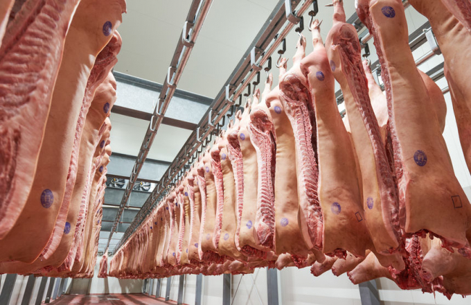 Trung Quốc vẫn phải nhập khẩu hàng triệu tấn thịt lợn trong năm nay. Ảnh: TL.