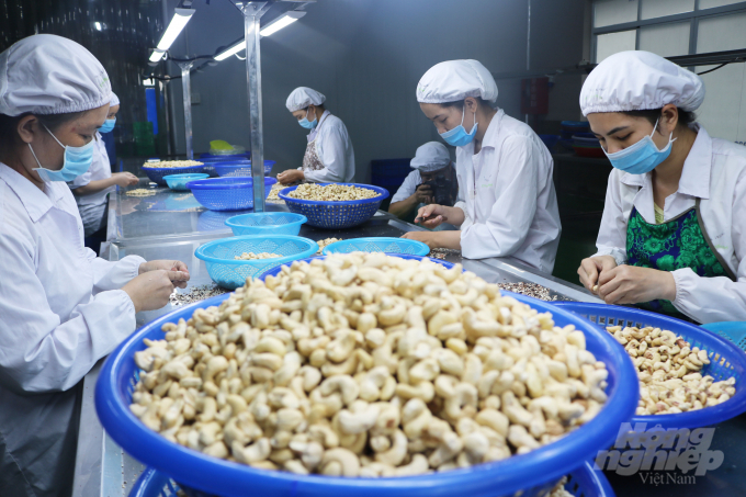 Ngành nông nghiệp, thực phẩm Việt Nam được đánh giá là đứng thứ 2 Đông Nam Á về kỳ vọng phục hồi kinh tế. Ảnh: Thanh Sơn.