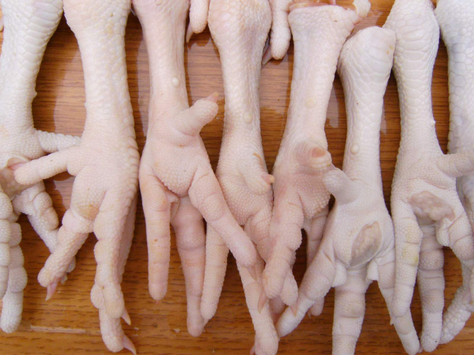 Chân gà là một trong những mặt hàng chủ lực trong xuất khẩu thịt sang Hàn Quốc. Ảnh: TL.