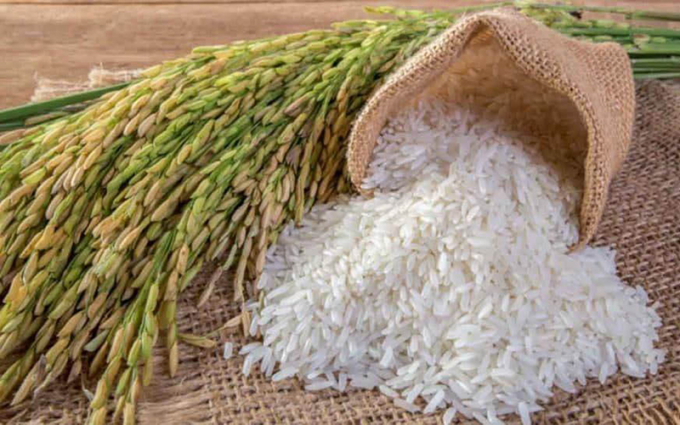 Giá gạo xuất khẩu 5% tấm của Việt Nam đang cao hơn gạo cùng loại Thái Lan tới 40 USD/tấn. Ảnh: TL.