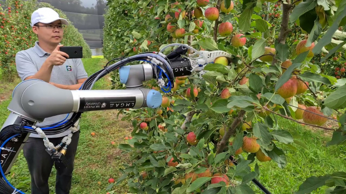 Robot có thể hái táo với tốc độ 7 giây một quả. Ảnh: Monash University..
