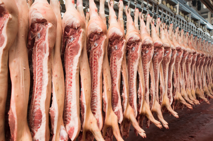 Thịt lợn Nga chiếm gần một nửa thịt lợn nhập khẩu về Việt Nam trong 4 tháng đầu năm. Ảnh: TL.