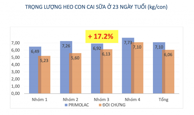 Kết quả thử nghiệm Primolac 1 về trọng lượng heo con cai sữa so với sản phẩm đối chứng.