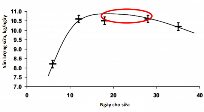 Heo nái thường đạt lượng sữa tối đa trong tuần thứ ba của giai đoạn cho sữa (ngày 21 – 28).