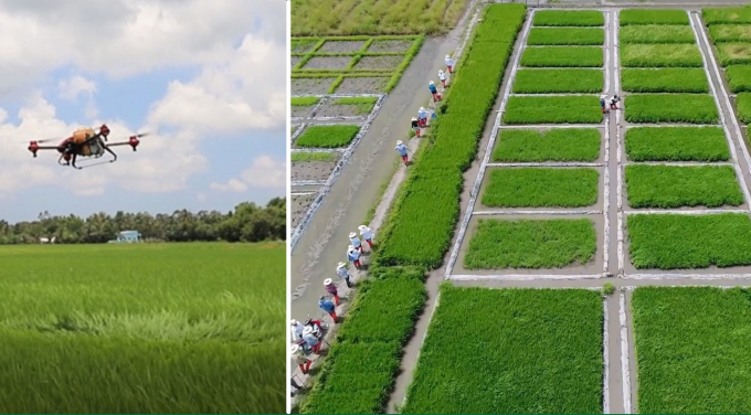 Khảo nghiệm drone ở Tiền Giang do một công ty thàn viên của CropLife thực hiện. Ảnh: CropLife.