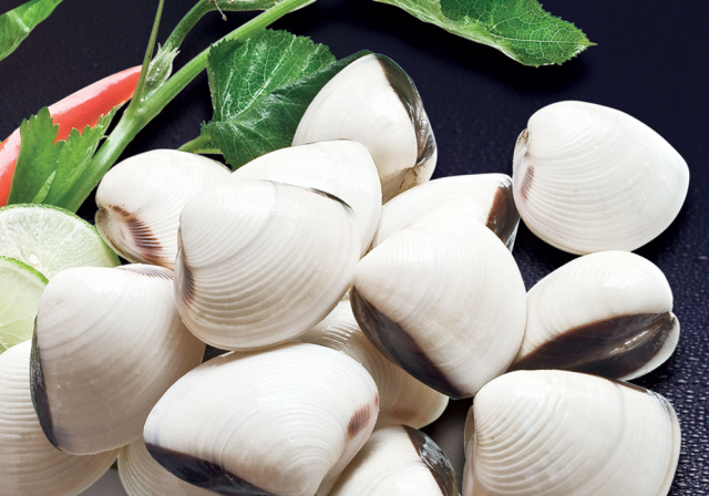 Clam exports still strongly increased in August. Photo: TL.