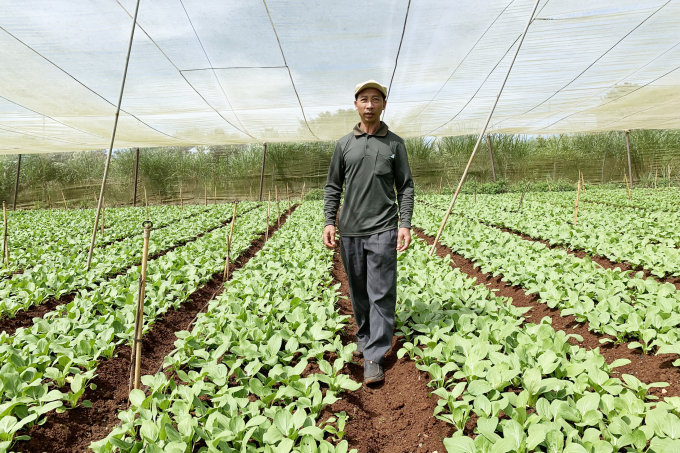 Farmer Tran Van Do on a clean vegetable farm in cooperation with MM Mega Market.