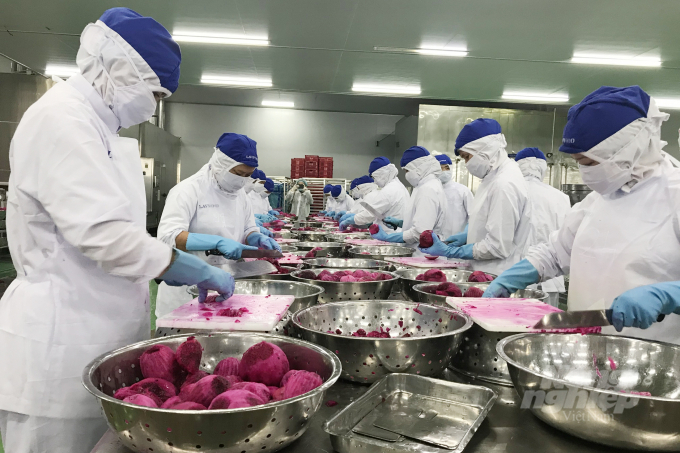 Fruit and vegetable exporters are now shifting to processed products rather than fresh ones. Photo: Thanh Son.