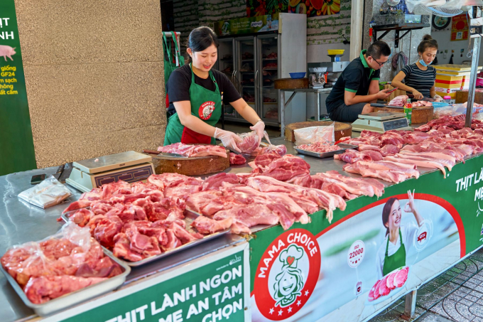 Trại Phú Hưng cung cấp heo thương phẩm cho thương hiệu thịt sạch MAMACHOICE tại Bình Định.