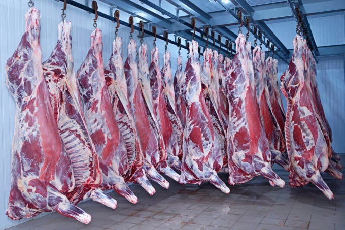 Thị trường thịt bò toàn cầu sẽ thiếu hụt trong năm 2022. Ảnh: TL.
