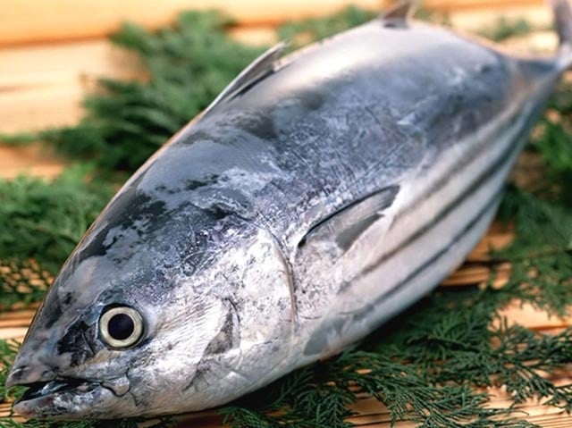 Tuna exports to Australia increased to a three digits number in the first 10 months of the year. Photo: TL.