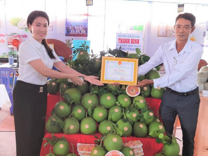 Pomelo, one of the Hau Giang's eight well-known fruits, is now cultivated and get the VietGAP, GlobalGAP certificates. Photo: Trung Chanh