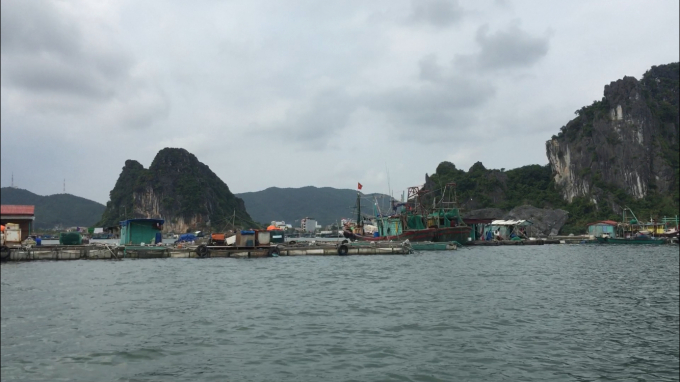 Do tác động xấu của dịch bệnh Covid-19, mới chỉ có khoảng 30% tàu đánh bắt thủy sản tại Quảng Ninh ra khơi. Ảnh: Việt Cường.