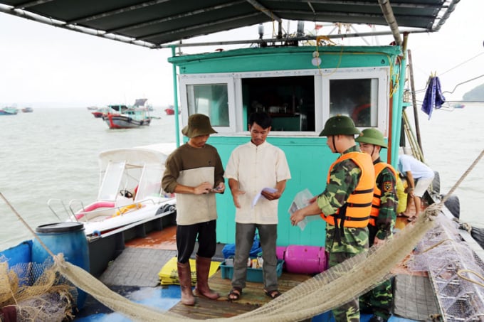 Lực lượng chức năng tỉnh Quảng Ninh xử lý ngư dân trong vi phạm khai thác thủy sản. Ảnh: Anh Thắng.