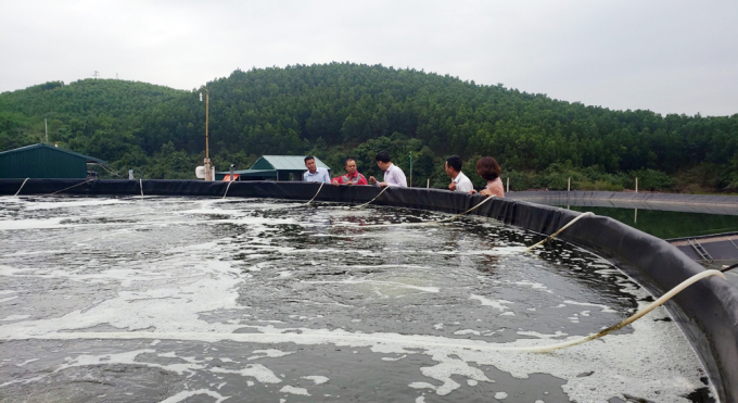 Ngành thủy sản tỉnh Quảng Ninh đang đạt nhiều kết quả nổi bật nhờ áp dụng KHCN trong ứng dựng nuôi, trồng và kiểm soát dịch bệnh. Ảnh: Viết Cường.