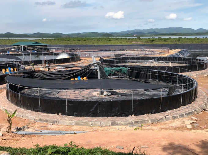 Quá trình lắp đặt mô hình nuôi tôm hai giai đoạn bằng công nghệ biofloc tại TP Cẩm Phả (Quảng Ninh): Ảnh: Hải Nam - Trung tâm Khuyến nông tỉnh Quảng Ninh.