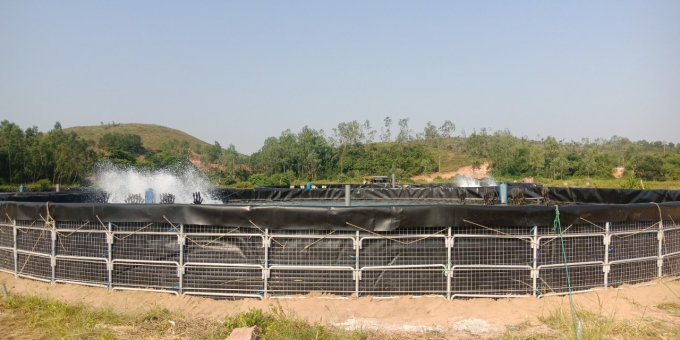 Bể xử lý nước lợi dụng độ cao để tạo dòng chảy, cấp nước cho các bể nuôi ở vị trí thấp hơn. Ảnh: Nguyễn Bá Lâm - Trung tâm Khuyến nông tỉnh Quảng Ninh.