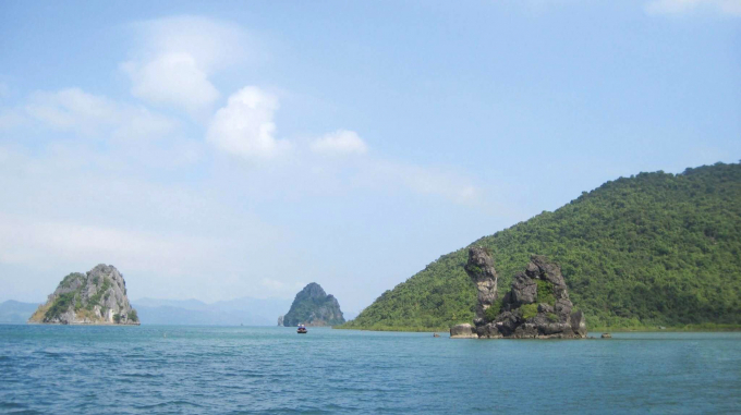 Vườn Quốc gia Bái Tử Long, điểm đến hấp dẫn tại Quảng Ninh có 80 hòn đảo đá vôi và đảo đất đan xen, tạo nên phong cảnh đẹp. Ảnh: CTV.