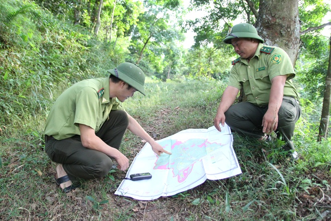 Đội ngũ cán bộ kiểm lâm của tỉnh Quảng Ninh thực hiện tốt công tác bảo vệ rừng. Ảnh: Anh Thắng.