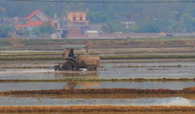 Người dân xã Nguyễn Huệ, TX Đông Triều (Quảng Ninh), làm đất chuẩn bị cho sản xuất vụ xuân. Ảnh: Nguyễn Thanh.
