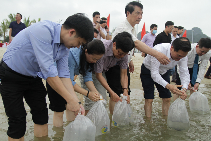 Lãnh đạo UBND tỉnh Quảng Ninh, Ban Tuyên giáo Tỉnh ủy, Sở NN-PTNT thả giống, tái tạo nguồn lợi thủy sản. Ảnh: Anh Thắng.