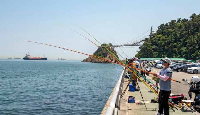 Nhiều người tới cảng Busan để trải nghiệm thú vui câu cá.