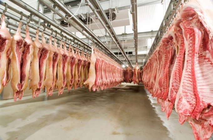 Thịt lợn nhập khẩu vào Trung Quốc sẽ giảm trong những tháng cuối năm. Ảnh: TL.