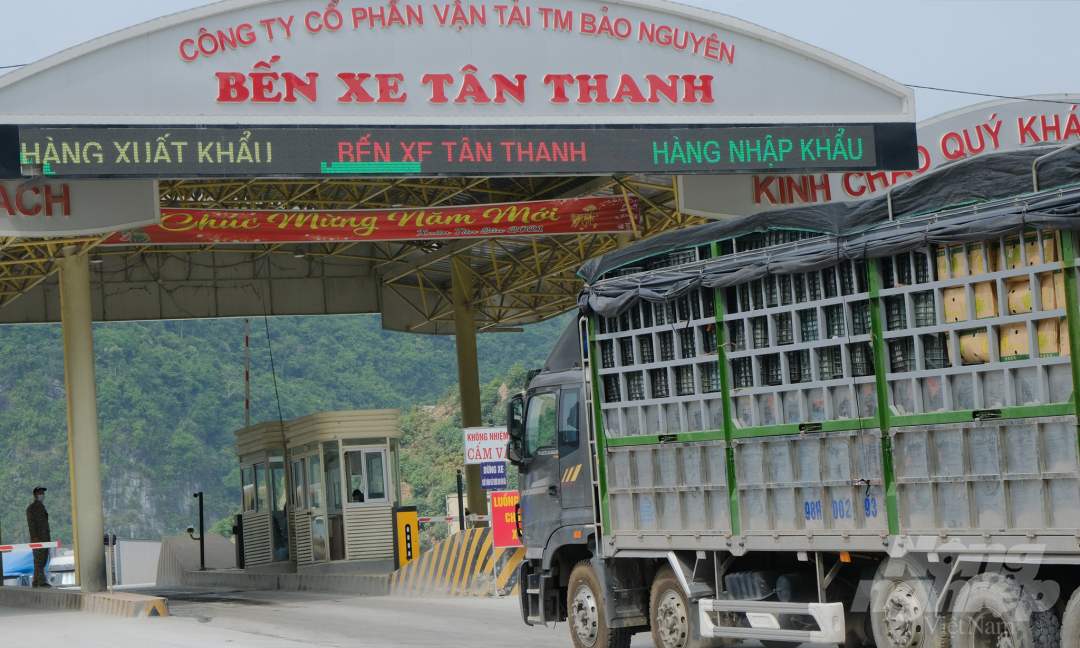 Theo UBND tỉnh Lạng Sơn, lượng xe lưu thông qua cửa khẩu Tân Thanh hàng ngày là khoảng 300 xe, qua cửa khẩu Hữu Nghị là khoảng 1.000 xe. Ảnh: Bảo Thắng.