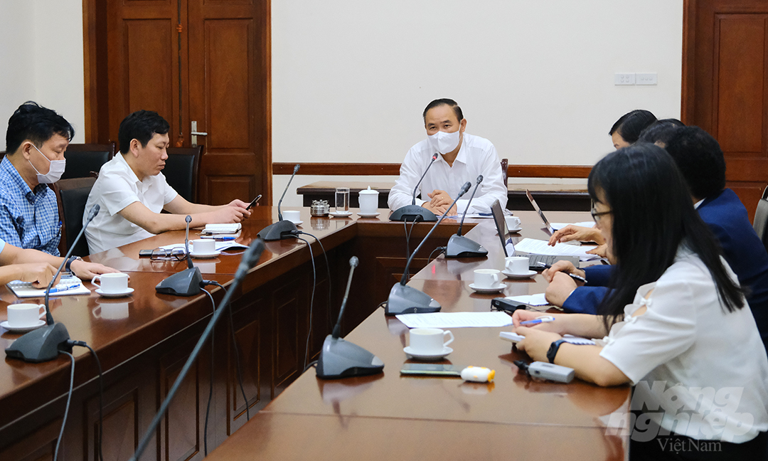Deputy Minister Phung Duc Tien chaired the meeting with representatives of the World Bank.