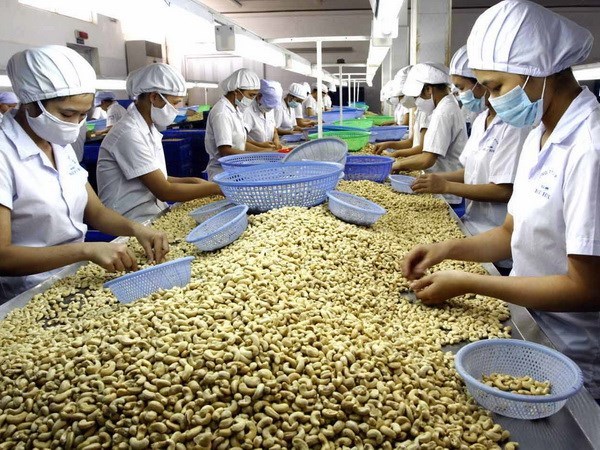 Cashew nuts are one of the main agricultural products exported from Vietnam to Peru.