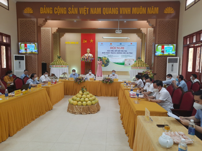 Hội nghị xúc tiến tiêu thụ bưởi Phúc Trạch tại điểm cầu huyện Hương Khê.