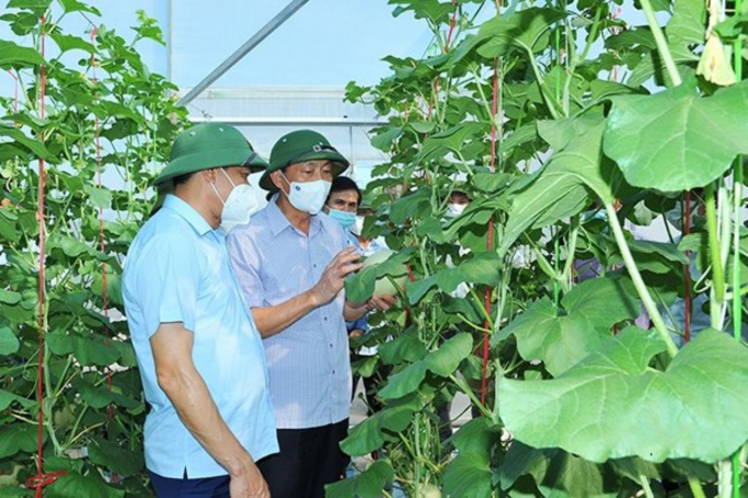 Đẩy mạnh chuyển đổi số là một trong những hướng đi mũi nhọn của nông nghiệp Việt Nam. 