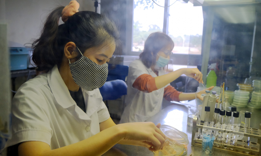 Nghiên cứu các chủng vi sinh vật phục vụ sản xuất các chế phẩm vi sinh tại Viện Môi trường Nông nghiệp. Ảnh: Bảo Thắng.