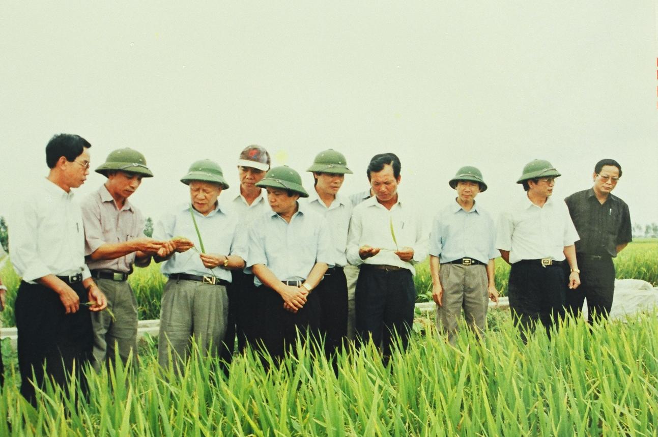 Cố Bộ trưởng Bộ NN-PTNT Nguyễn Công Tạn thăm cánh đồng lúa sử dụng giống do ThaiBinh Seed cung cấp.